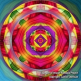 Adobe Photoshop Project: Image Mandala