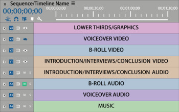 Preview of Adobe Premiere Timeline Organizer (Alternate Version)