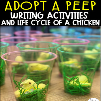 Preview of Adopt a Peep Writing and Life Cycle of a Chicken