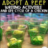 Adopt a Peep Writing and Life Cycle of a Chicken