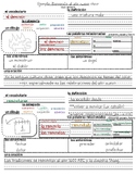 Adquirir vocabulario: Spanish Vocab Acquisition