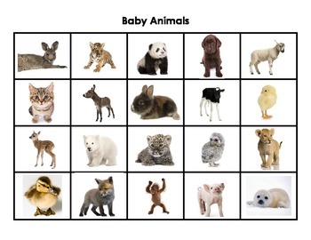 Preview of Adult Animals and Their Babies Matching