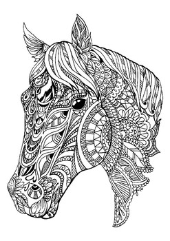 Adult Coloring Book : Stress Relieving Designs Animals, Mandalas, Flowers -  GOOD 9781979601733