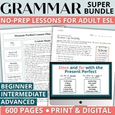 Adult ESL Beginner English Grammar Worksheets & Activities ...