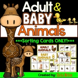 Adult and Baby Animals Real Picture Cards for Sorting