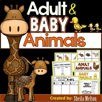 Preview of Adult and Baby Animals Real Picture Sorting Cards, Printables and Activities