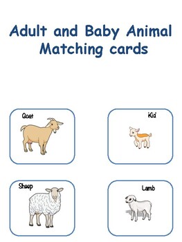 Baby Animal Match Teaching Resources | TPT