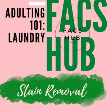Preview of Adulting 101: Laundry: Stain Removal Activity (Google Doc)
