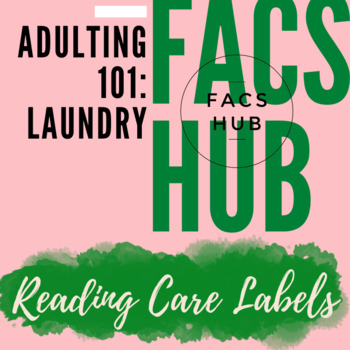 Preview of Adulting 101: Laundry: Reading Laundry Care Labels Activity (PDF)