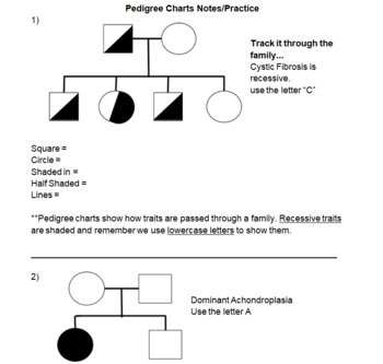 Pedigree Chart Practice