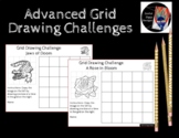 Advanced Grid Drawing Sheets #2, great for early finishers