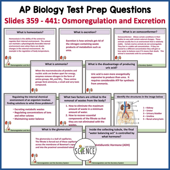 ap biology human systems essay