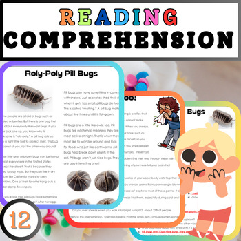 Preview of Adventures in Reading: Engaging 4th Grade Comprehension Worksheets