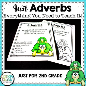 Preview of Adverb Activities & Lesson Plans: An Everything 2nd Grade Grammar Bundle