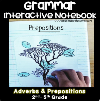 Preview of Adverbs Interactive Notebook and Prepositions Activity