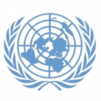 Preview of The United Nations - Text and Exercise Sheets