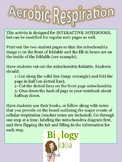 Aerobic Cellular Respiration Interactive Notebook notes page