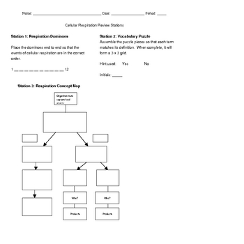 chapter vocabulary biology 8 worksheet Respiration Cellular Respiration Anaerobic Aerobic and