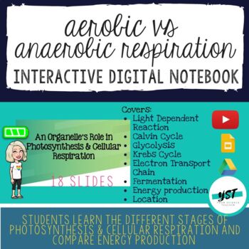 Preview of Comparing Photosynthesis & Cellular Respiration Interactive Digital Notebook