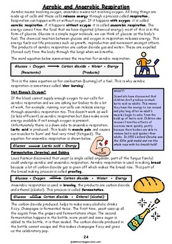 Preview of Aerobic and Anaerobic Respiration