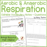 Aerobic vs Anaerobic Respiration Vocabulary Graphic Organi