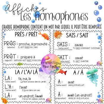 Preview of Affiches - Les homophones (avec exemples)