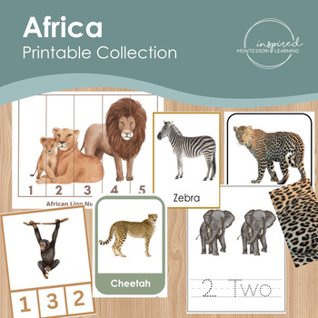 Preview of Africa Continent Study