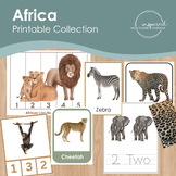 Africa Continent Study