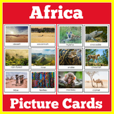 African Animals | Africa | Grassland Activity | Animal Cards