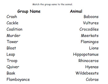 African Animal Group Names Worksheet by AllyKat's Alcove | TPT