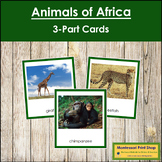 Animals of Africa 3-Part Cards (color borders) - Continent Cards