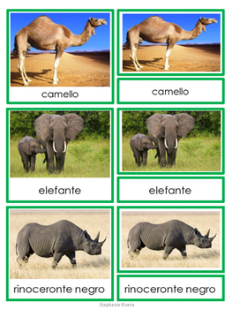 Preview of African Animals 3-part Cards in Spanish - Animales de Africa