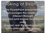 ELEPHANT - Interactive PowerPoint presentation including v