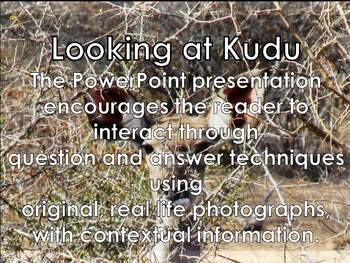 Preview of AFRICAN ANIMALS: Kudu Antelope - PowerPoint presentation