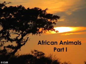 Preview of African Animals : Montessori principles using PowerPoint