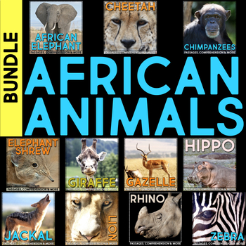 Preview of African Animals Nonfiction Animal Research, Reading Passages and Comprehension
