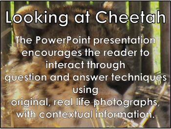 Preview of AFRICAN ANIMALS: Cheetah - PowerPoint presentation