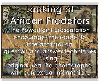 Preview of PREDATORS - PowerPoint presentation