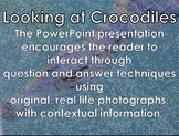 AFRICAN ANIMALS: Crocodile - PowerPoint Presentation