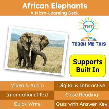 Preview of African Elephants Informational Text Reading Passage and Activities