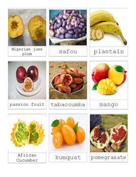 Preview of African Fruit 3 Part Cards Language Continent Study