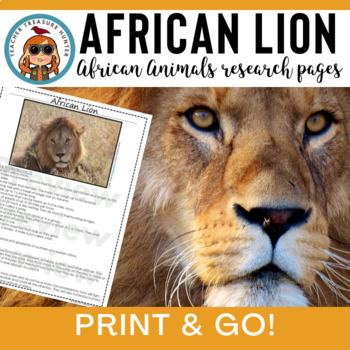 Preview of African Lion Africa animal research information article for writing reports