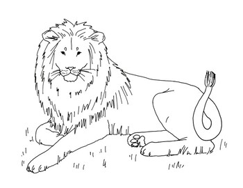 Lion Drawings – PoC – our relationship with cats and other animals