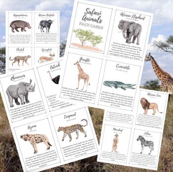 Preview of African Safari Animals Fact/Flash Cards
