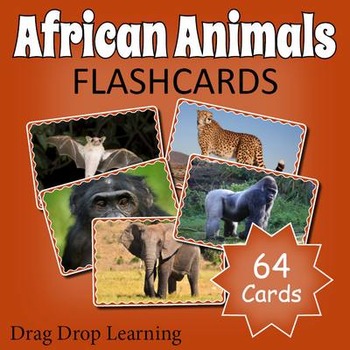 Preview of African Safari:  Animals of Africa Flashcards
