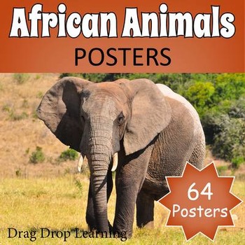 Preview of African Safari - Animals of Africa Posters