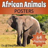 African Safari - Animals of Africa Posters