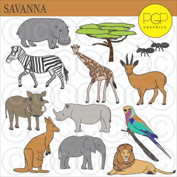 African Savanna Animals Ecosystem/Biome Clip Art by PGP Graphics *b&w  images inc