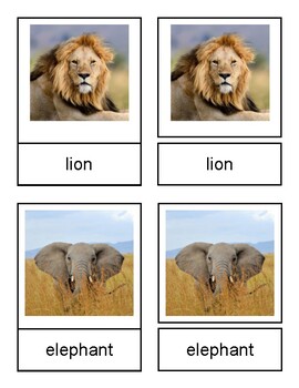 African Savanna Animals Montessori 3 Part Cards by Erika Bault | TPT