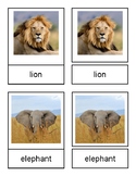 African Savanna Animals Montessori 3 Part Cards